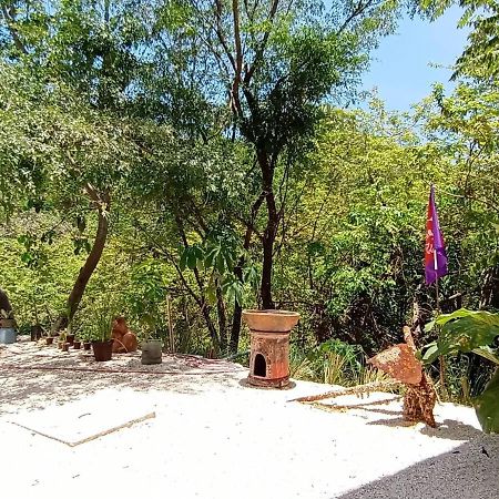 Laurel Jungle & Ocean Villa Playa Santa Teresa  Luaran gambar