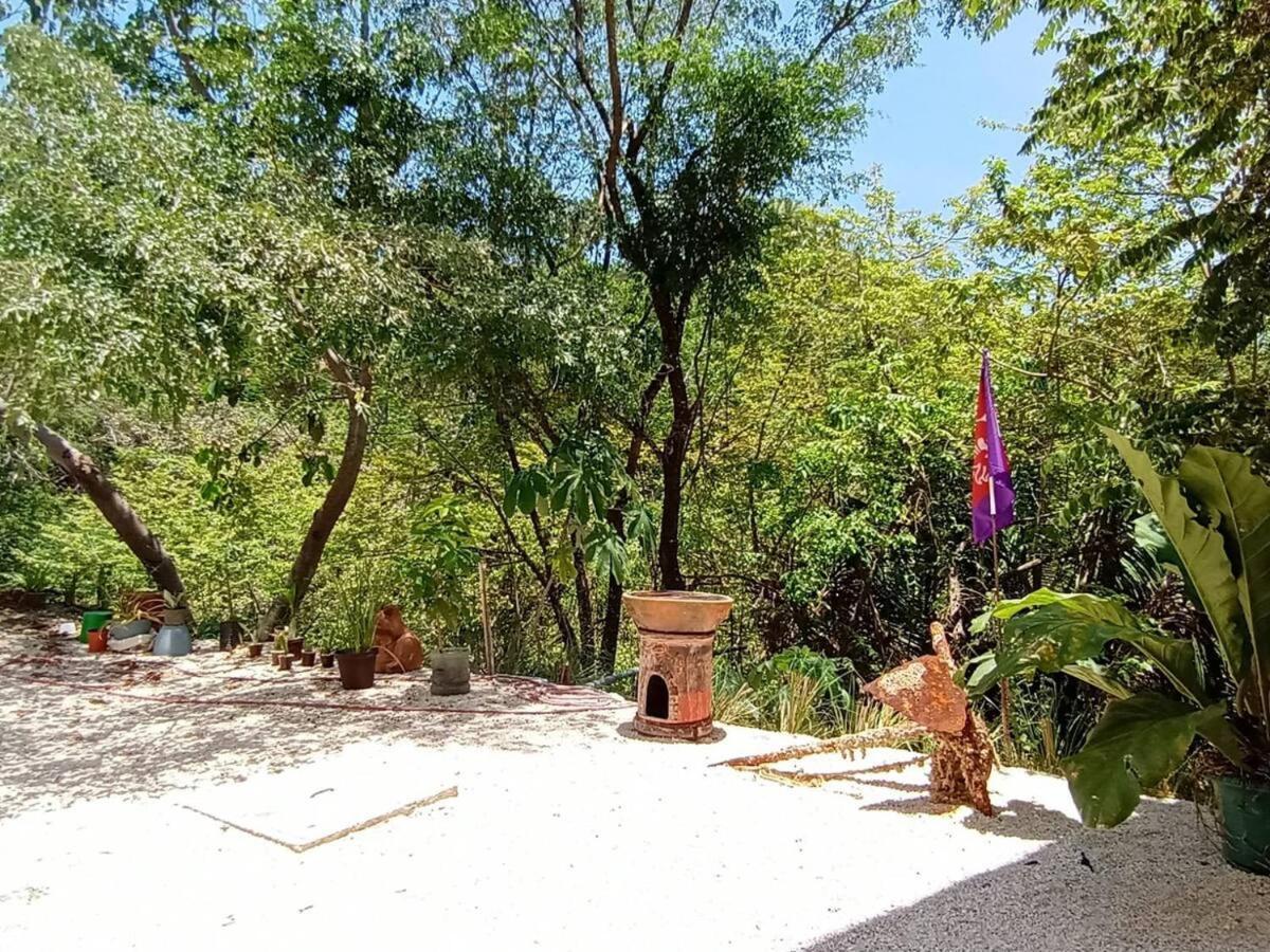 Laurel Jungle & Ocean Villa Playa Santa Teresa  Luaran gambar